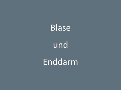 Graues Schild mit dem Schriftzug Blase und Enddarm