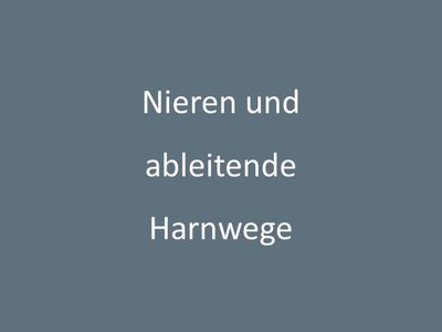 Graues Schild mit dem Schriftzug Nieren und ableitende Harnwege