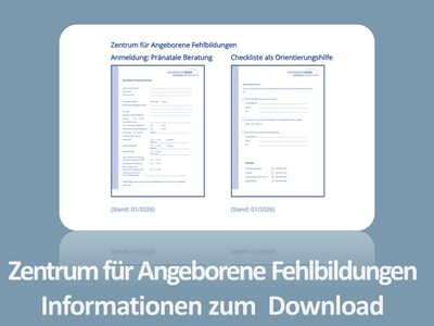 Informationen zum Download