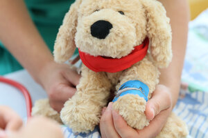 Großaufnahme vom "Krankenhaushund Fiete" - einem Stofftier mit Pflaster