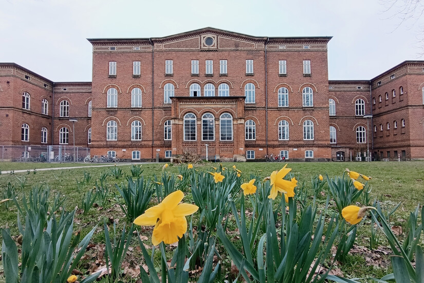 Foto vom Schulgebäude