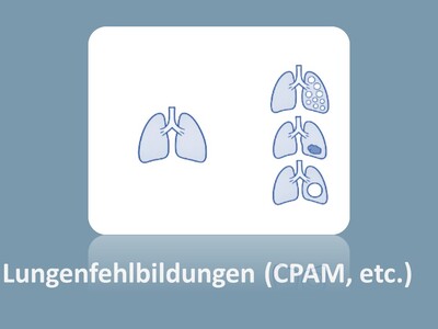Schematische Darstellung Lungenfehlbildungen (CPAM, etc.)